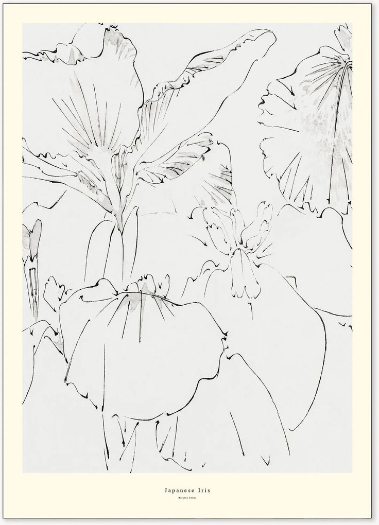Plagát Japanese Iris