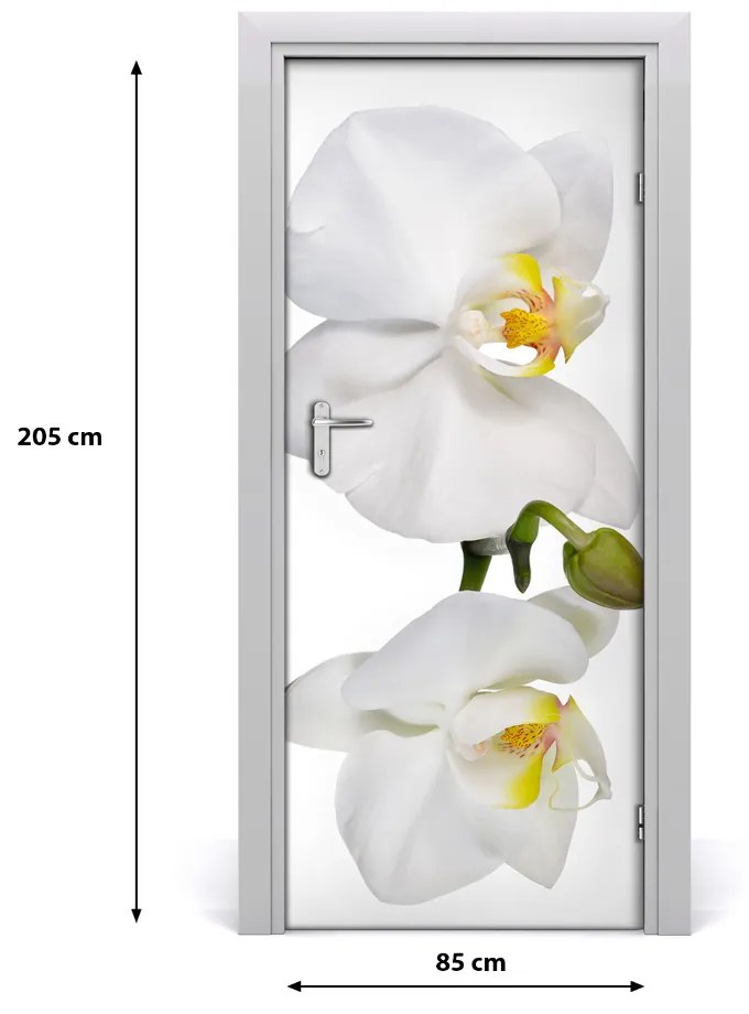 Samolepiace fototapety na dvere biela orchidea 85x205 cm