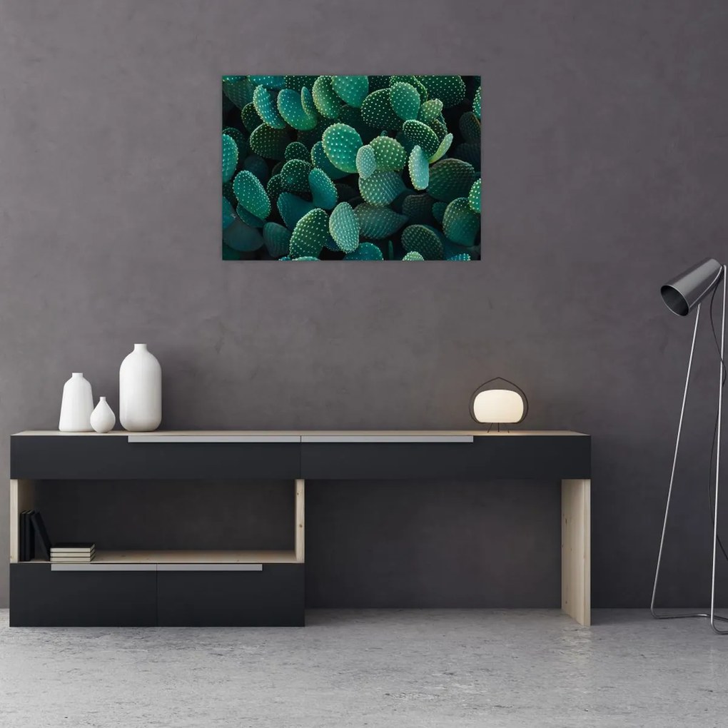 Sklenený obraz - Opuncie (70x50 cm)