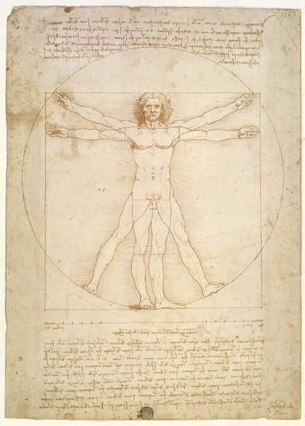 Obrazová reprodukcia The Proportions of the human figure , c.1492, Leonardo da Vinci