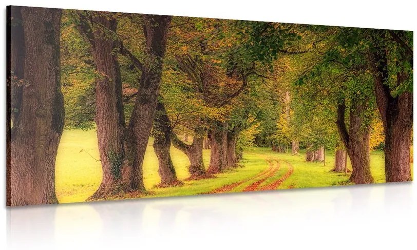 Obraz chodník jesenným lesom Varianta: 100x50