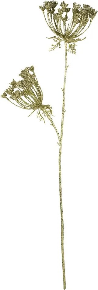 Zlatá dekoratívna kvetina Boľševník gold champagne - 85 cm