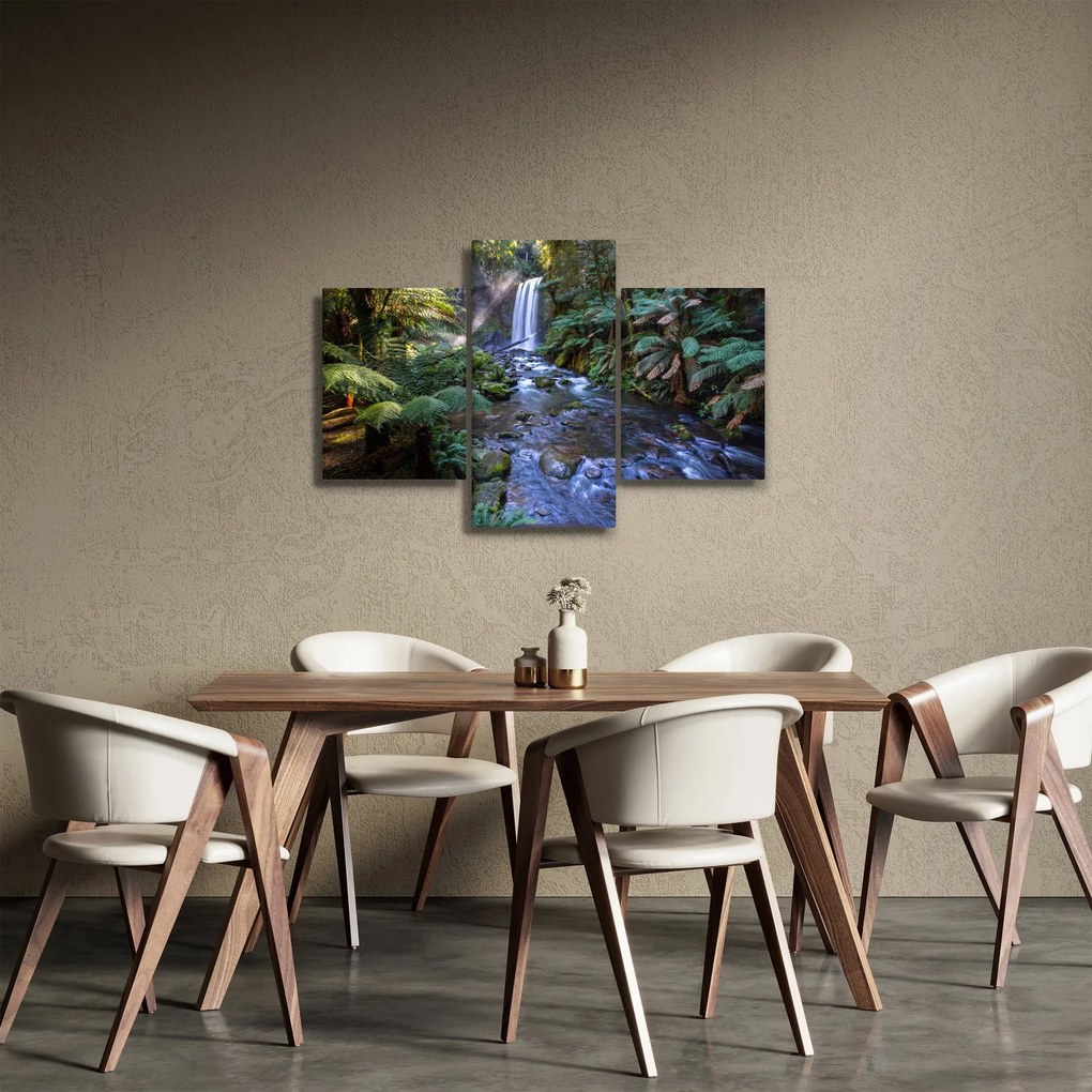 Obraz australského dažďového lesa (90x60 cm)