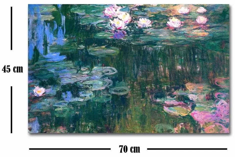 Nástenná reprodukcia na plátne Claude Monet, 45 × 70 cm