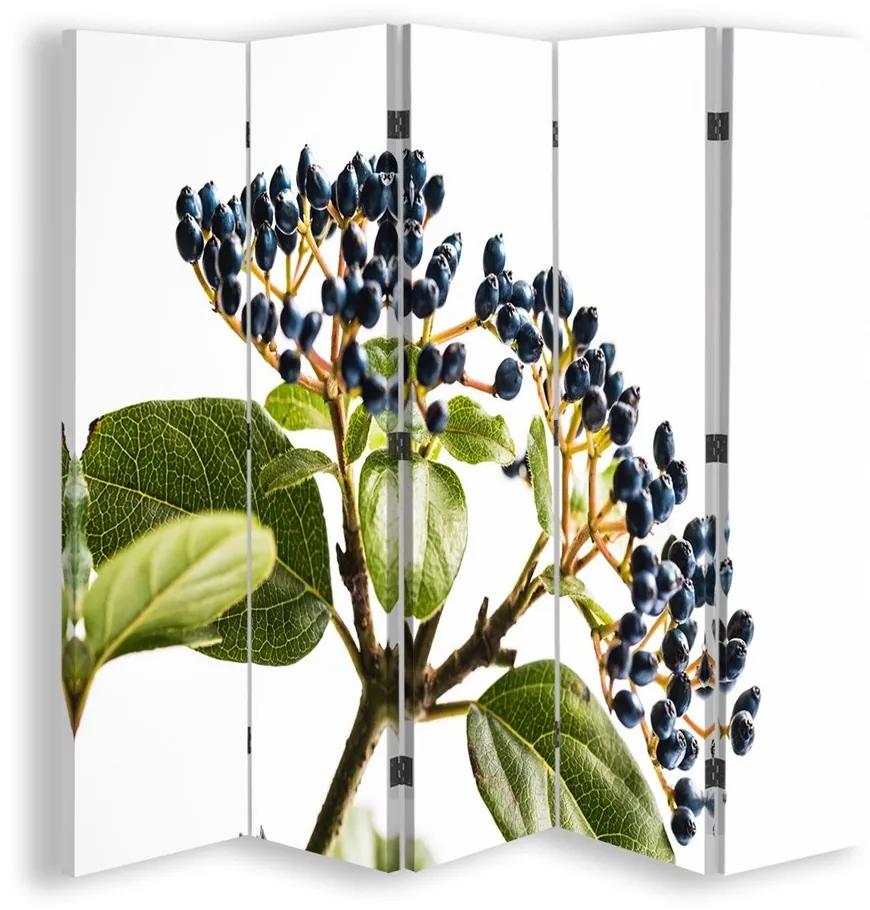 Ozdobný paraván Rostliny Příroda - 180x170 cm, päťdielny, obojstranný paraván 360°