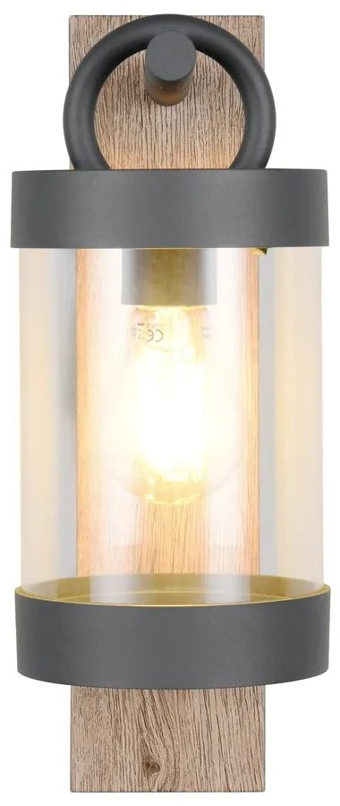 Nástenné vonkajšie svietidlo (výška 33 cm) Sambesi – Trio