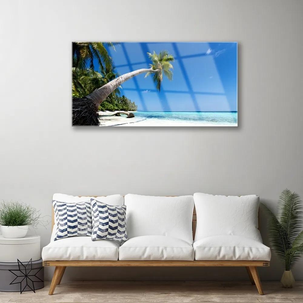 Obraz plexi Pláž palma more krajina 100x50 cm