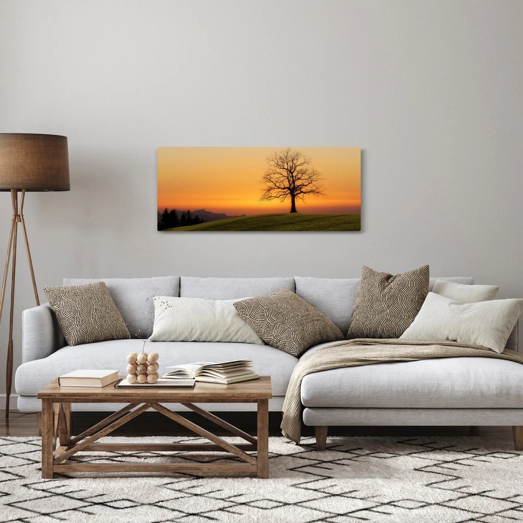Obraz západu slnka na lúke (120x50 cm)