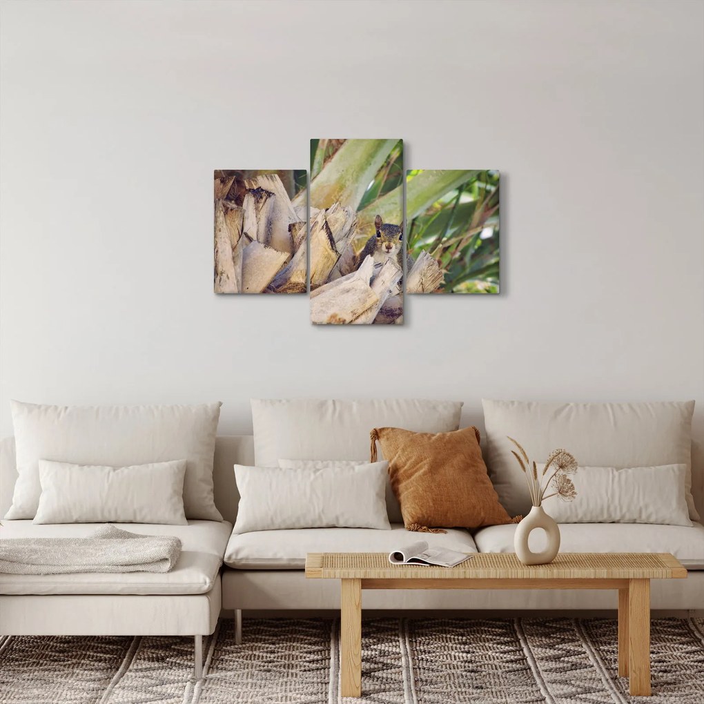 Obraz veveričky na strome (90x60 cm)