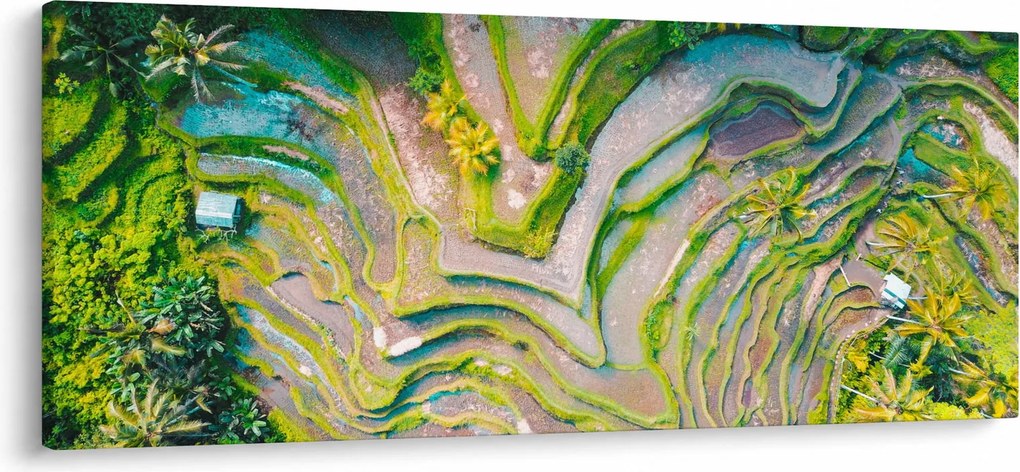 Obraz ryžových polí z vtáčej perspektívy (120x50 cm)