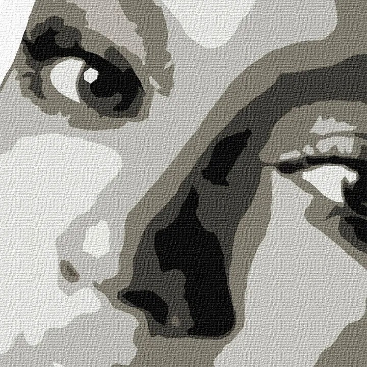 Ručne maľovaný POP Art obraz BEYONCÉ | rôzne rozmery