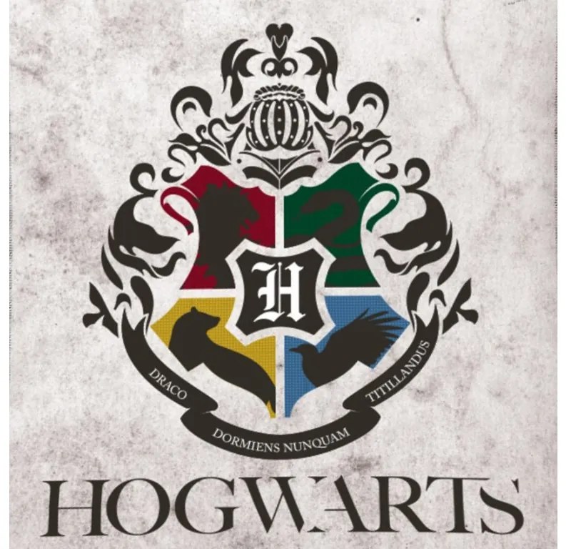 Detská deka Harry Potter Metlobal 130x170 cm