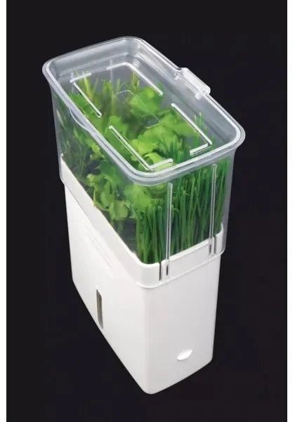 Cole&Mason - Nádoba na uchovanie rezaných byliniek