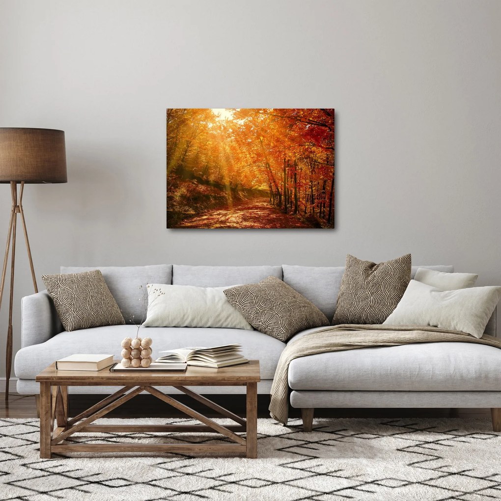 Obraz jesenného lesa (70x50 cm)