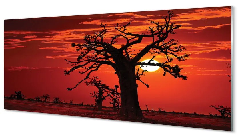 Obraz plexi Stromy oblohy oblačno 120x60 cm
