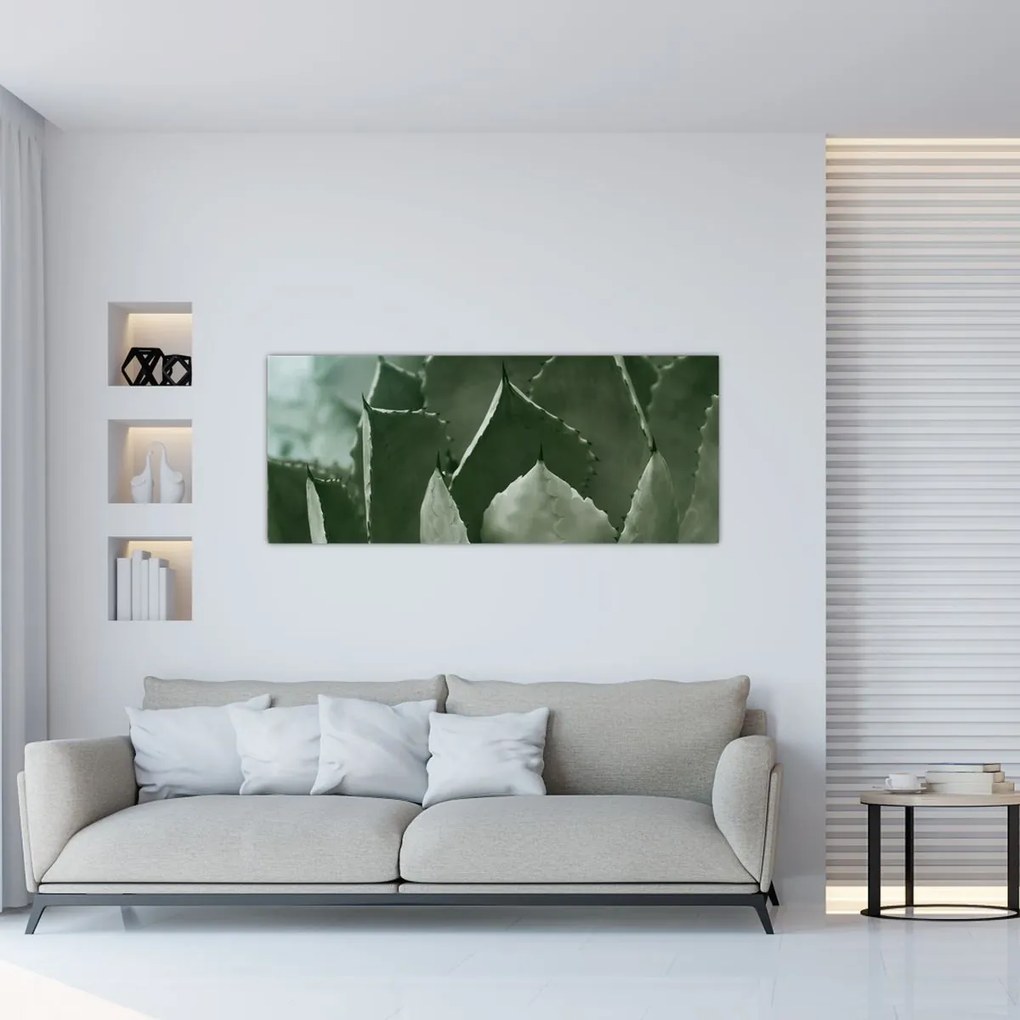Obraz - Zelená agáve (120x50 cm)
