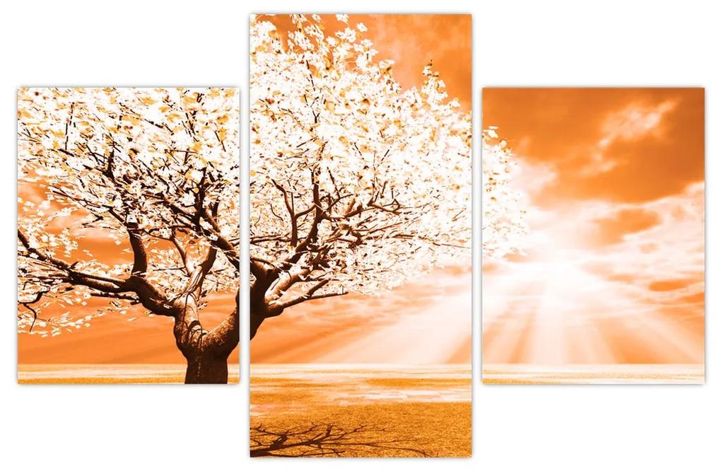 Oranžový obraz stromu (90x60 cm)
