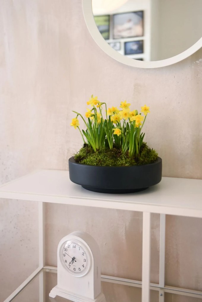 Misa na kvety ESCADA LOW, sklolaminát, priemer 30 cm, antracit