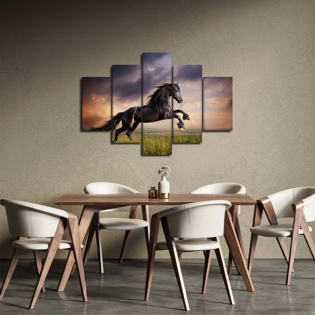 Obraz - Kone (150x105 cm)