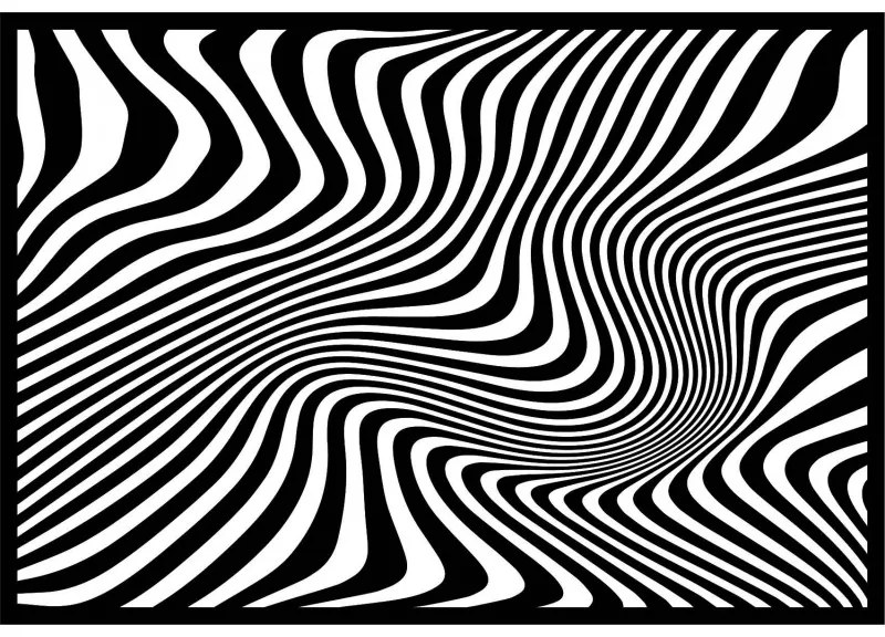 Dekoračný obraz na stenu zebra  I SENTOP PR0328 PREGLEJKA