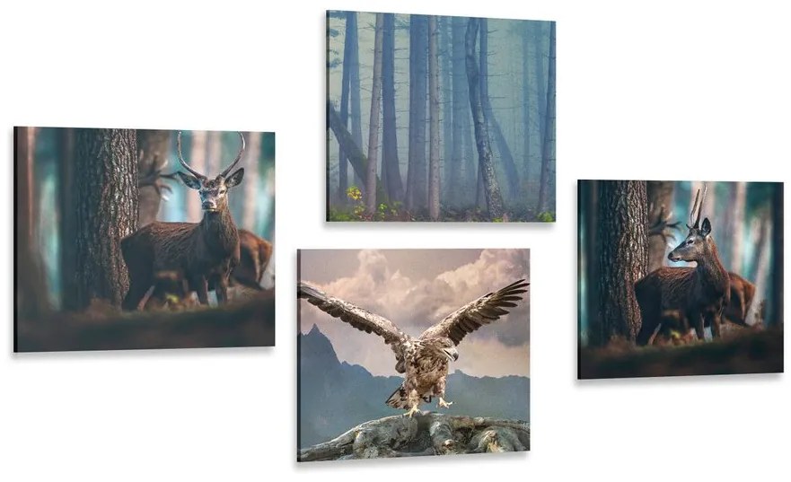 Set obrazov zákutia lesa Varianta: 4x 40x40