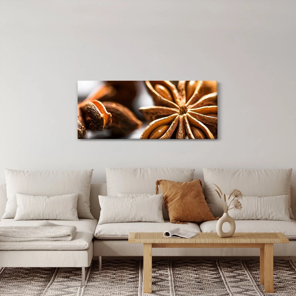Obraz - Aníz (120x50 cm)