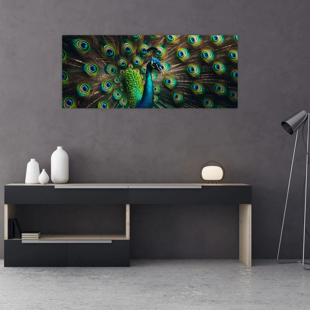 Obraz – Páv (120x50 cm)