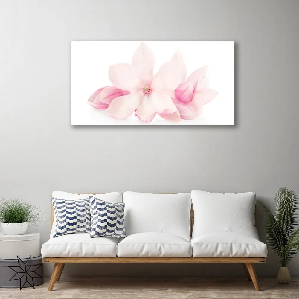 Obraz plexi Kvety plátky rastlina príroda 100x50 cm