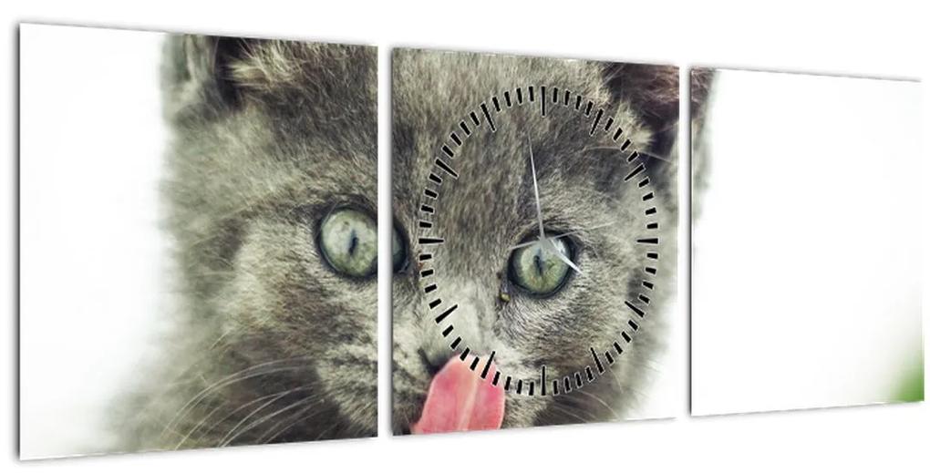 Obraz oblizujícího sa mačiatka (s hodinami) (90x30 cm)