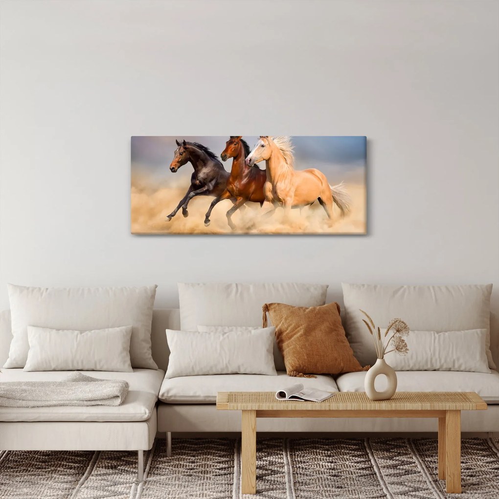 Obraz - Divé kone (120x50 cm)