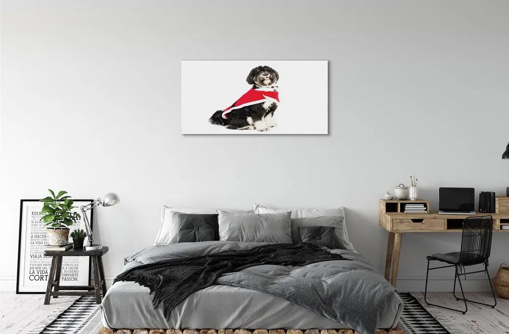 Sklenený obraz pes 100x50 cm