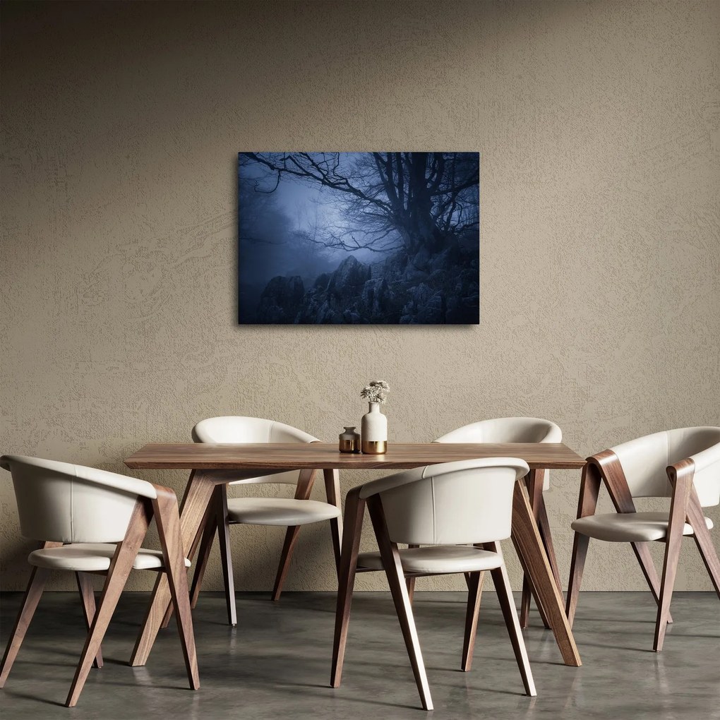 Obraz temného lesa (70x50 cm)