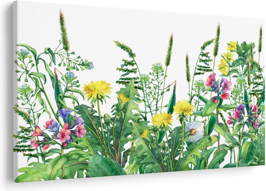 Obraz - Maľované lúčne kvety (90x60 cm)