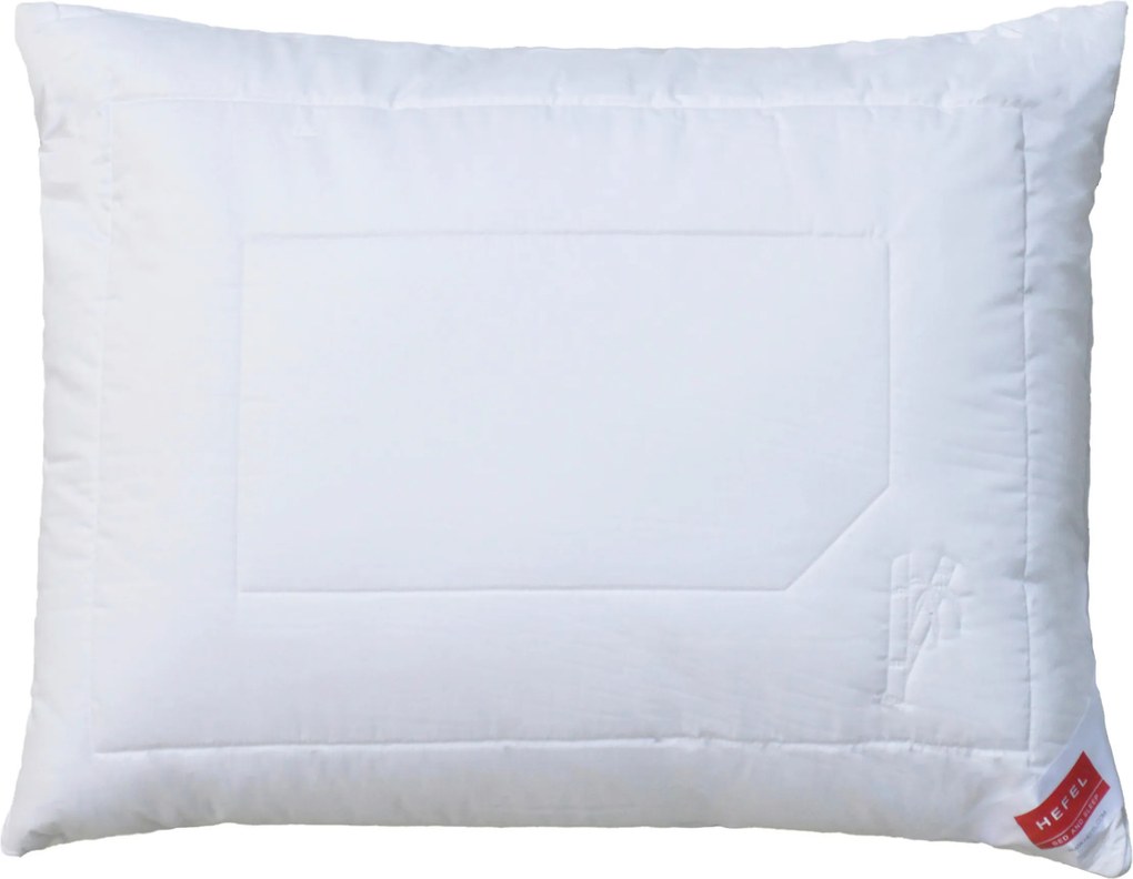XXXLutz VANKÚŠ, 70/90 cm Hefel Textil - Prikrývky & vankúše - 004636002303