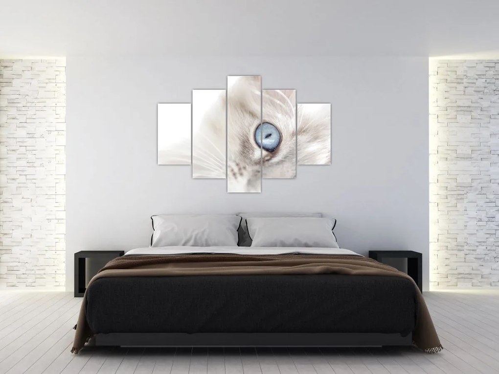 Obraz - Mačka s modrými očami (150x105 cm)
