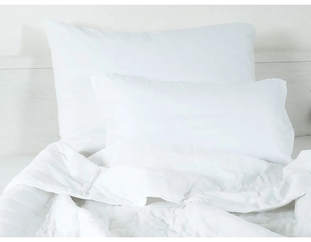 Obliečka na vankúš z mikrovlákna 45x75 cm Summer – B.E.S.