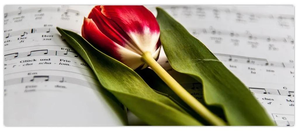 Obraz červeného tulipánu (120x50 cm)
