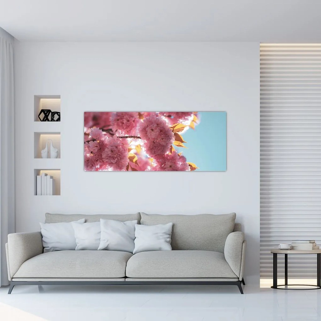 Obraz - Čerešňový kvet (120x50 cm)