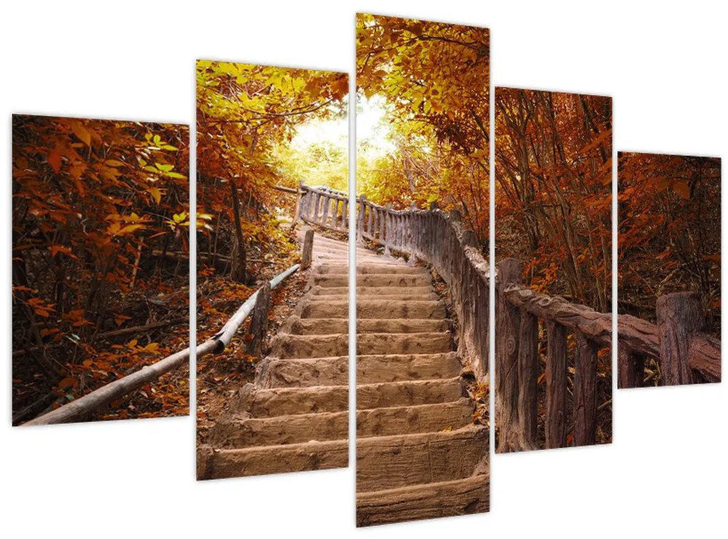 Obraz - Schody v prírode na jeseň (150x105 cm)