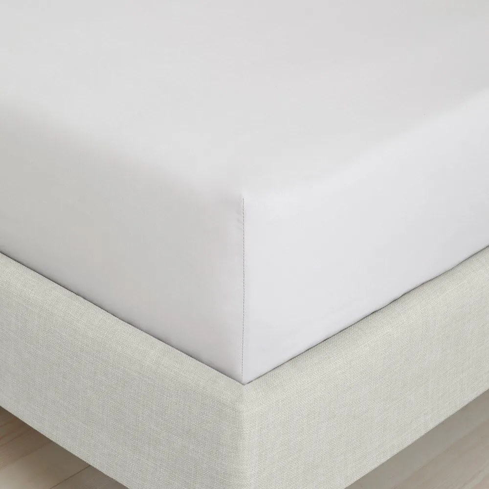Sivá napínacia plachta z bavlneného perkálu 90x190 cm Cotton Percale – Bianca