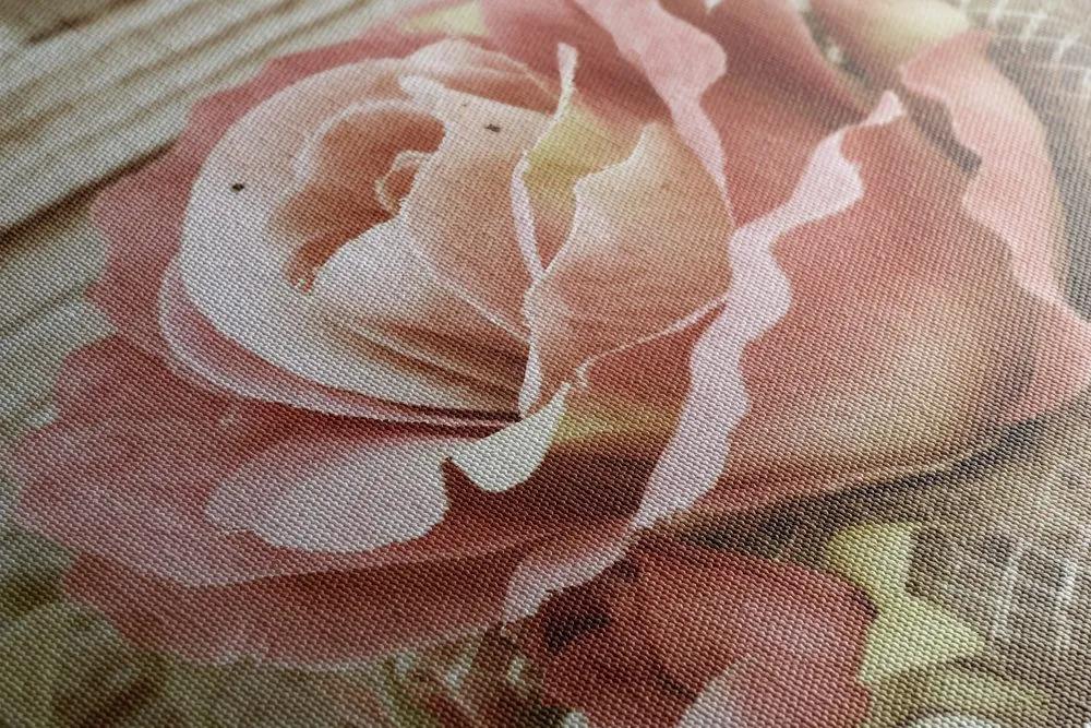 Obraz ruža vo vintage prevedení