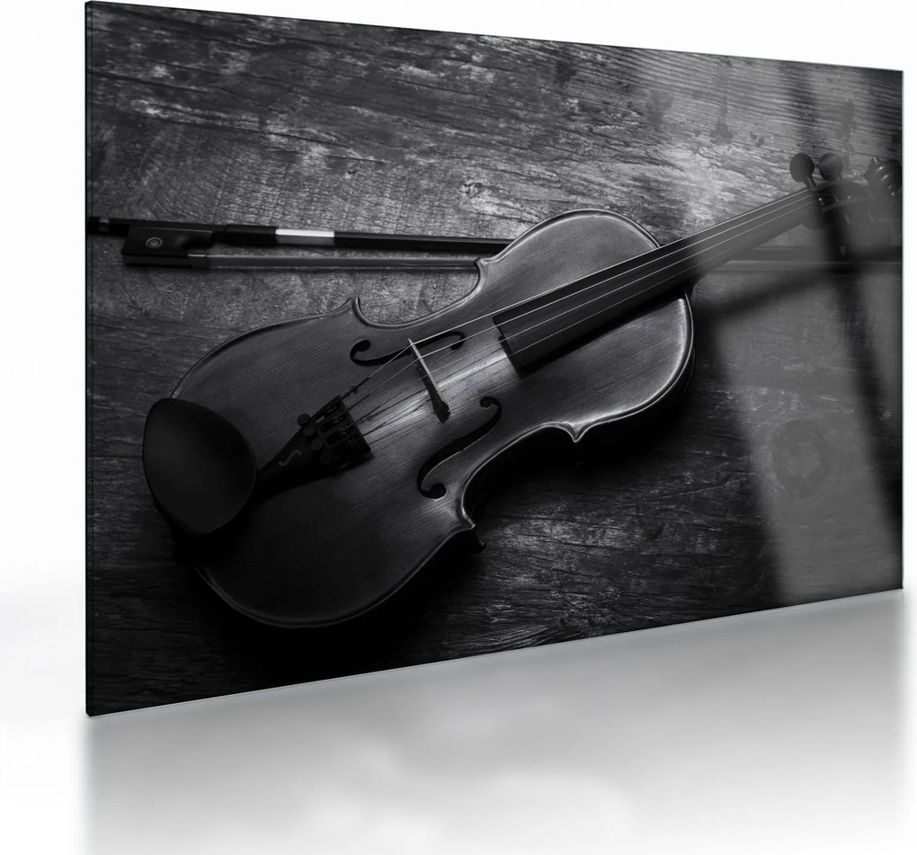 Sklenený obraz - Viola (70x50 cm)