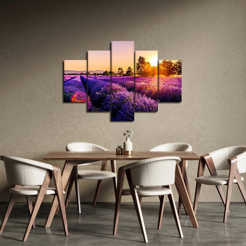 Obraz levanduľového pole, Provence (150x105 cm)