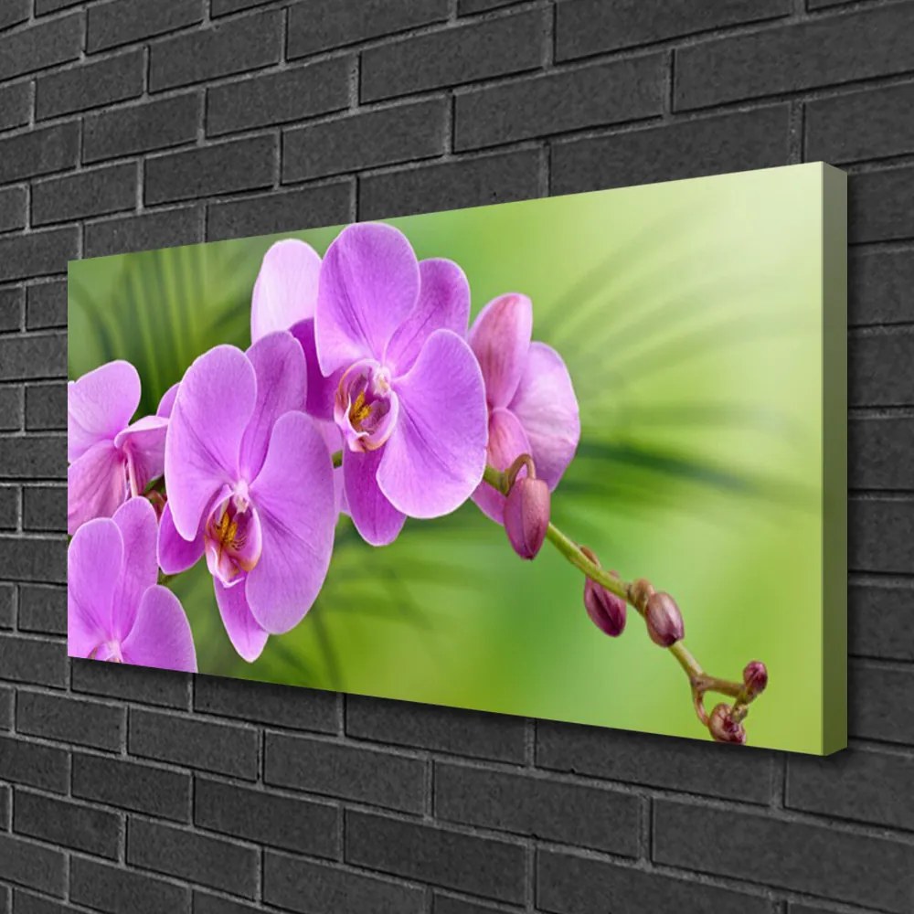 Obraz Canvas Vstavač orchidea kvety 100x50 cm