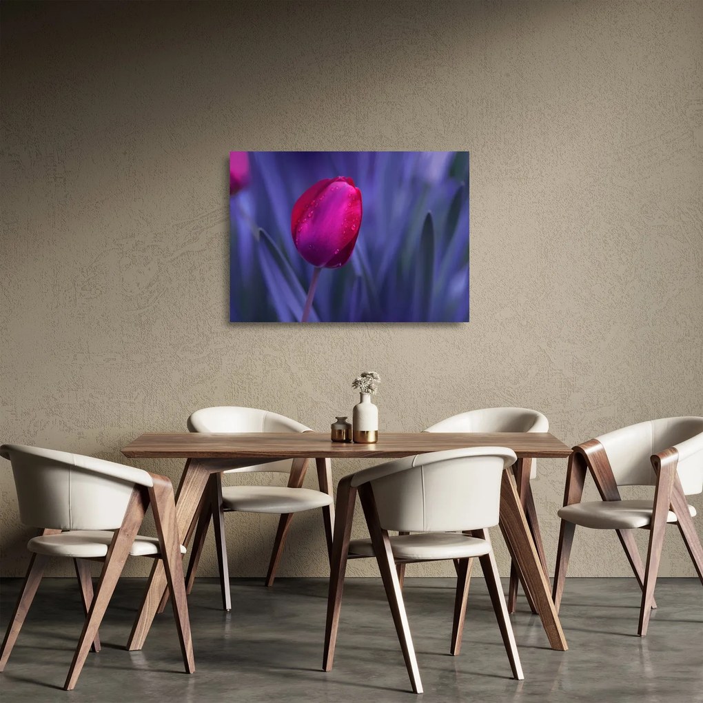 Sklenený obraz pupete tulipánu (70x50 cm)