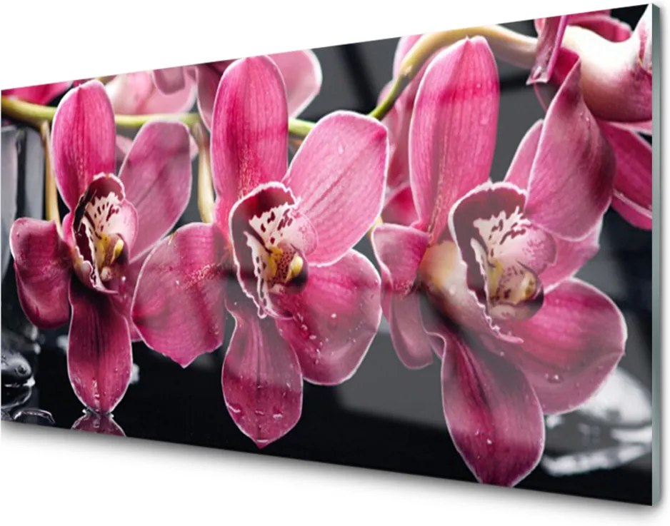 Sklenený obklad Do kuchyne Kvety Orchidey Výhonky Príroda