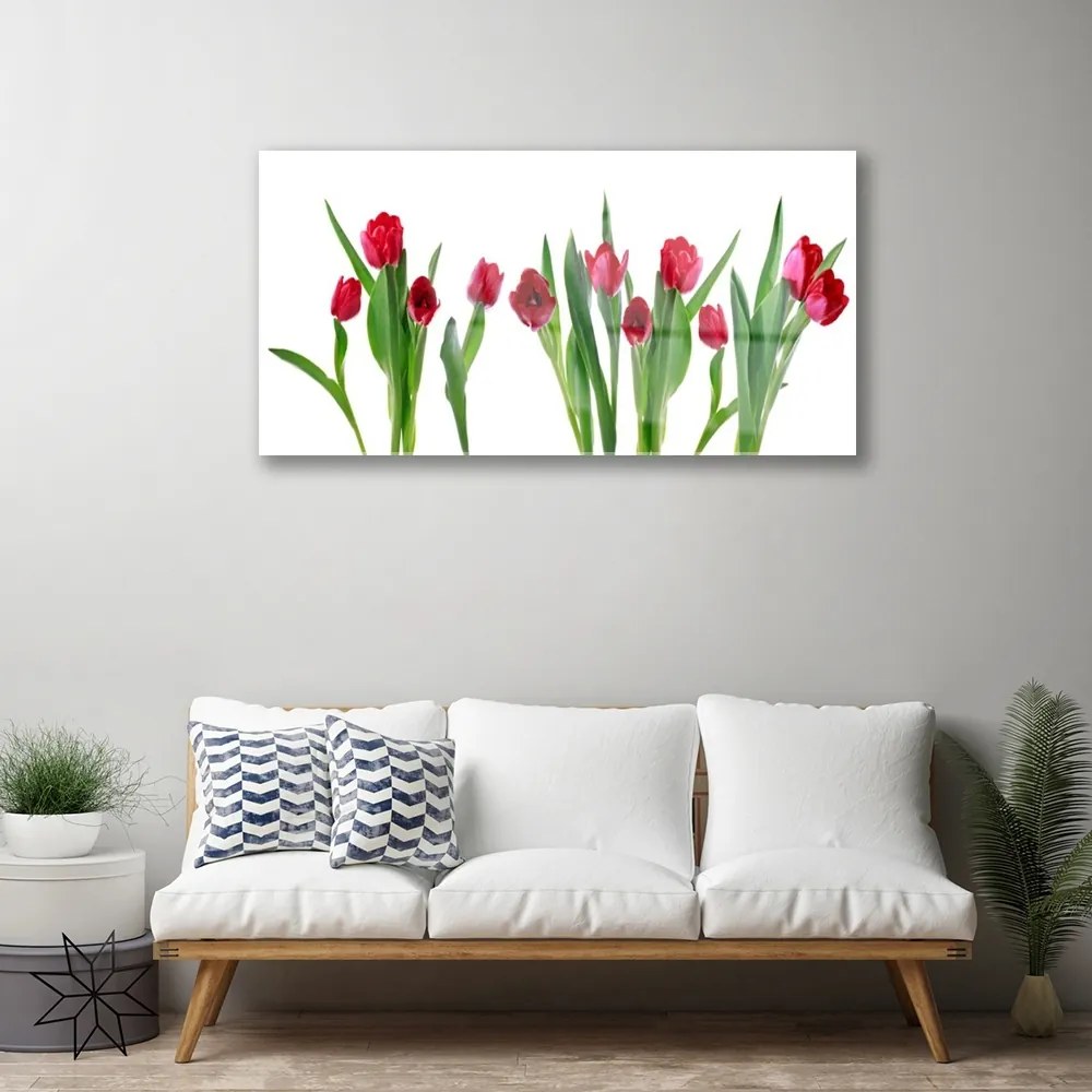 Skleneny obraz Tulipány kvety rastlina 120x60 cm