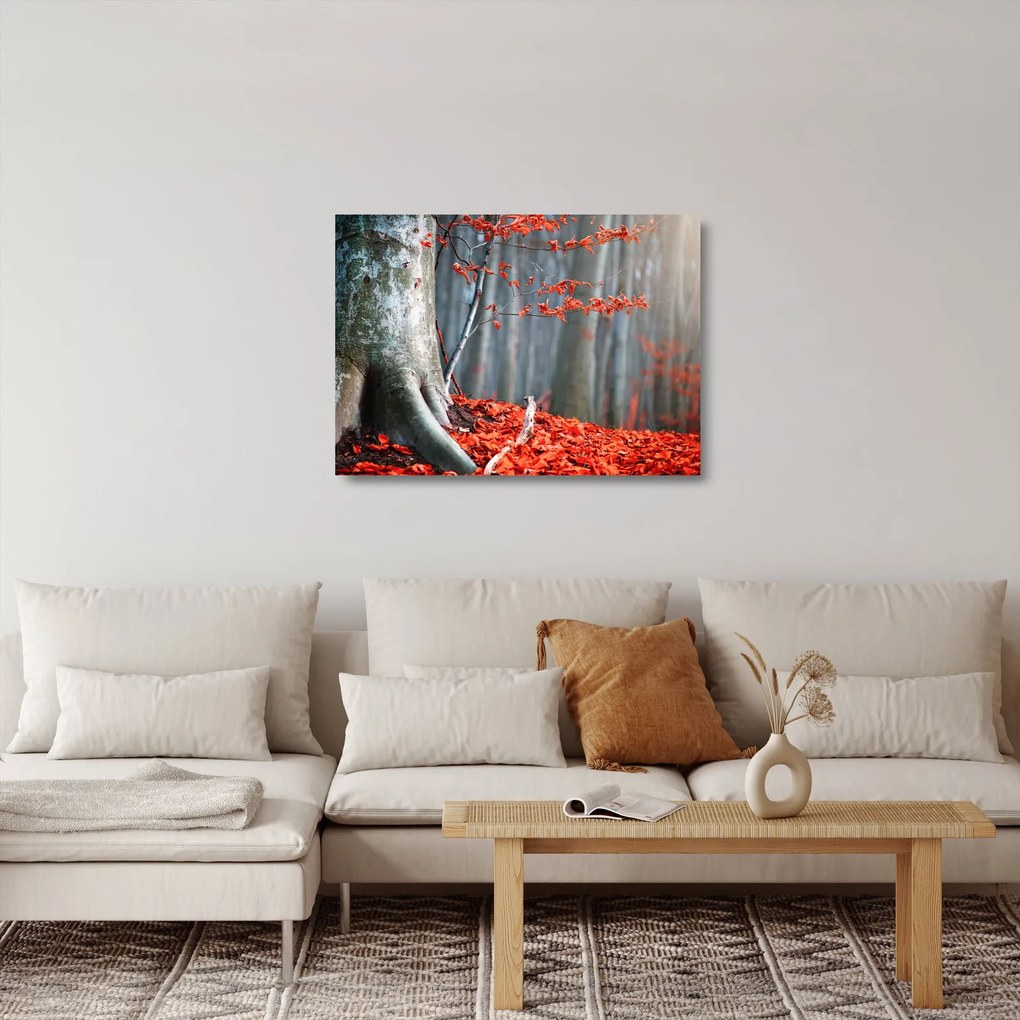 Sklenený obraz - Jeseň (70x50 cm)
