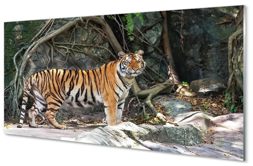 Sklenený obraz tiger džungle 120x60 cm
