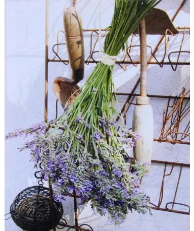 Obraz tlačený na plátne 40x50 PRC299